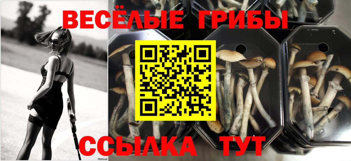 Набережные Челны  Псилоцибиновые грибы мухоморы  Вход с VPN 